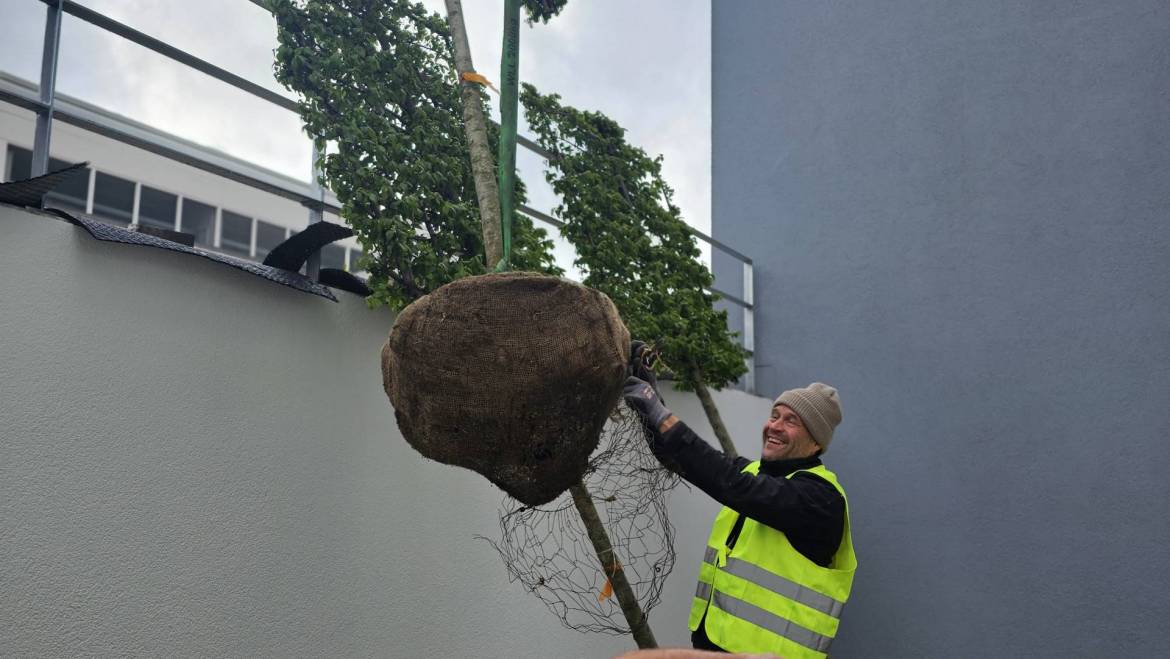 Geschultes Personal mit jahrelanger Erfahrung