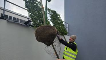 Geschultes Personal mit jahrelanger Erfahrung